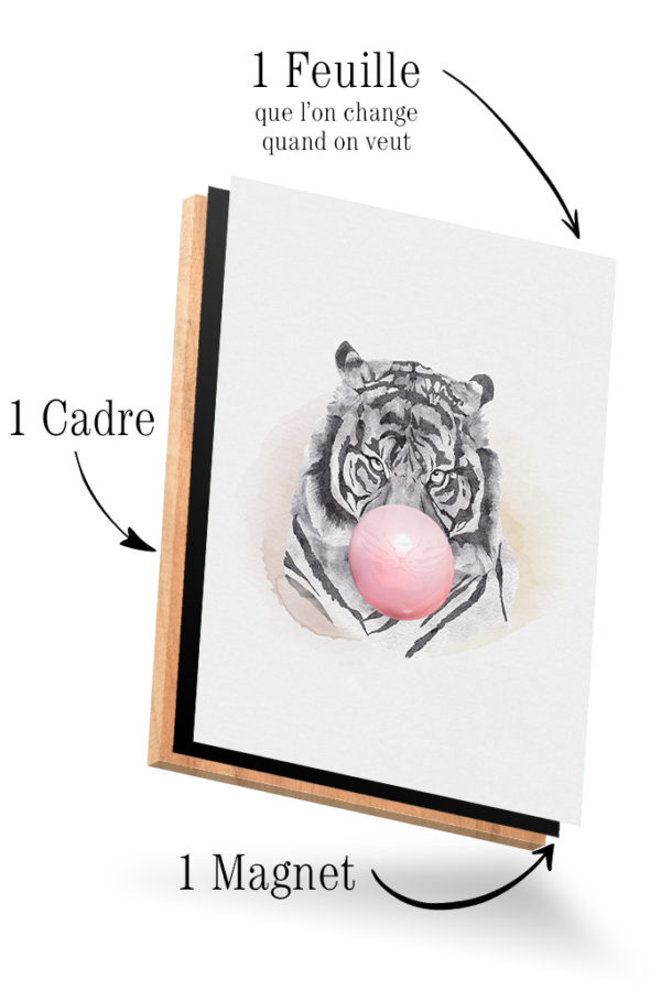 Tigre Bubblegum – Image 4