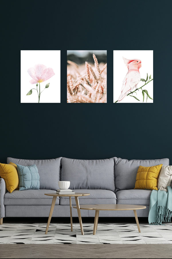 Blé Rosé – Image 4