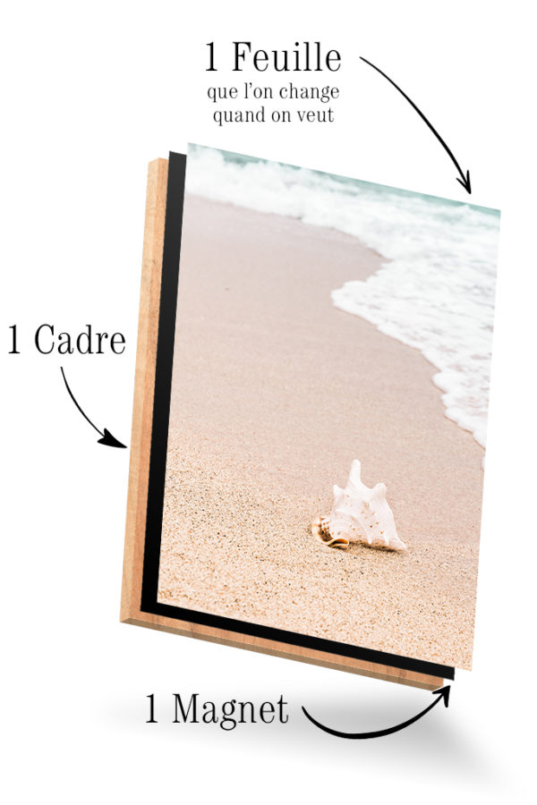 Coquillage Abandonné – Image 3
