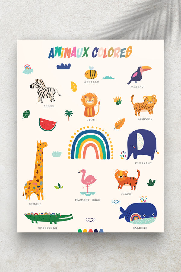 Imagier Animaux Colorés