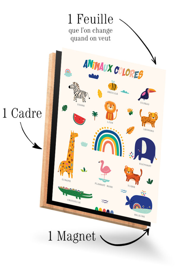 Imagier Animaux Colorés – Image 4