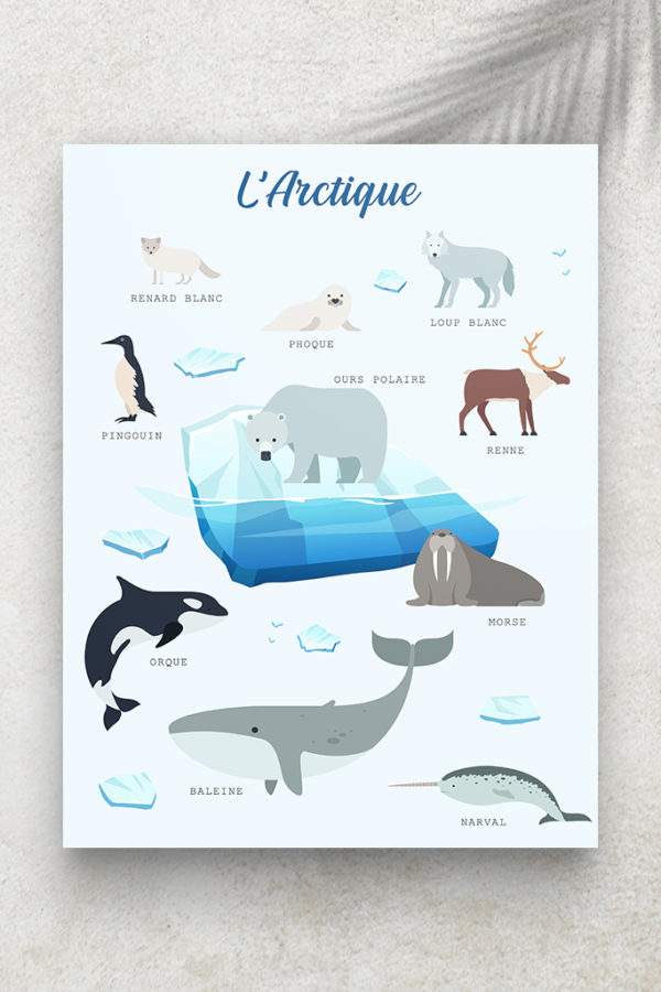 Imagier L'Arctique