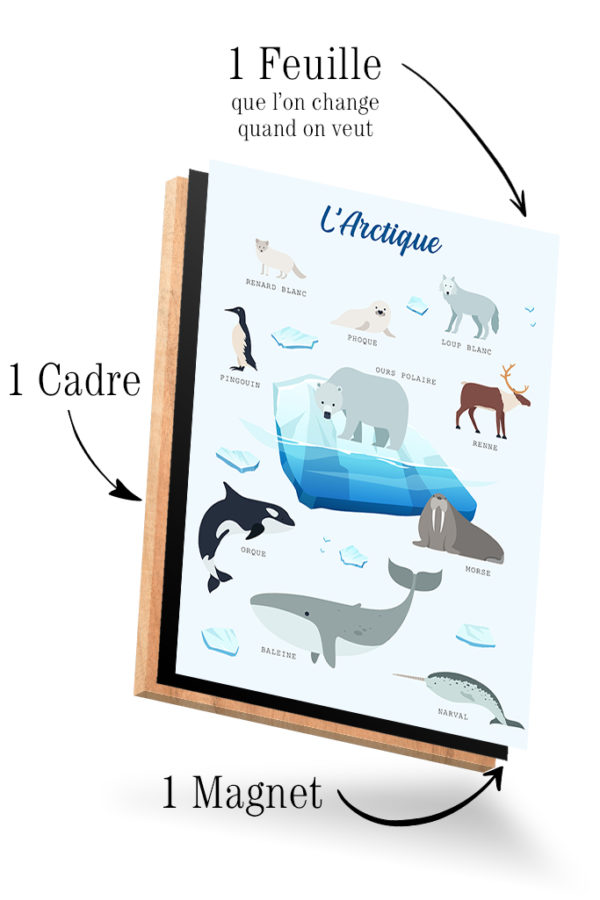 Imagier L'Arctique – Image 4