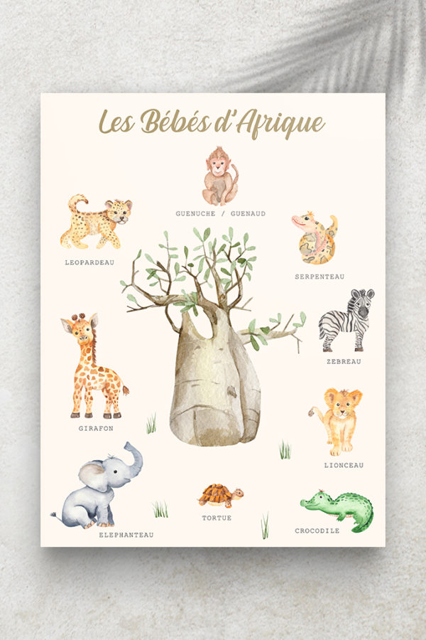 Imagier Les Bébés d'Afrique