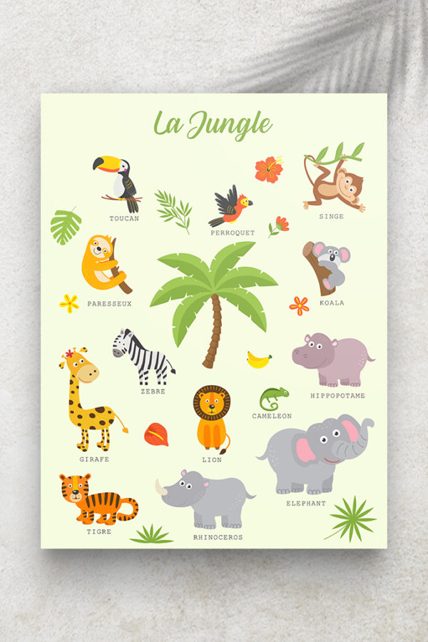 Imagier La Jungle