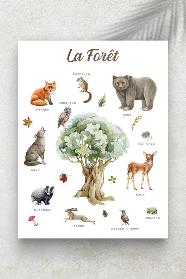 Imagier La Forêt