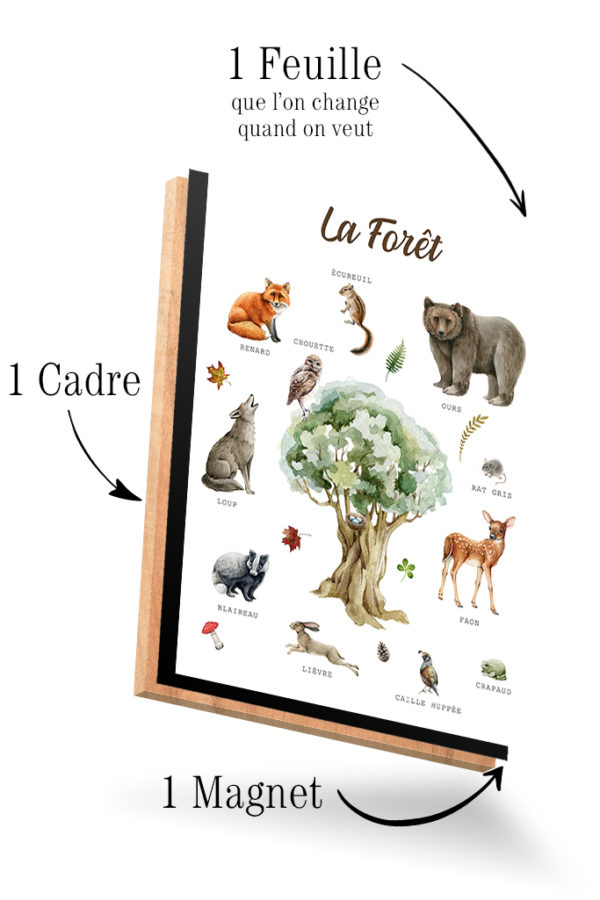 Imagier La Forêt – Image 4