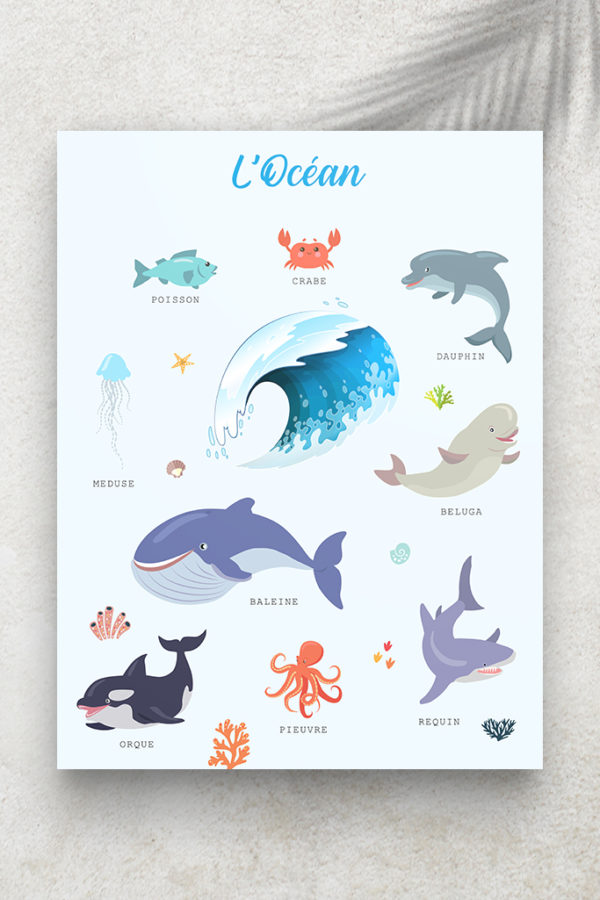 Imagier L'Océan