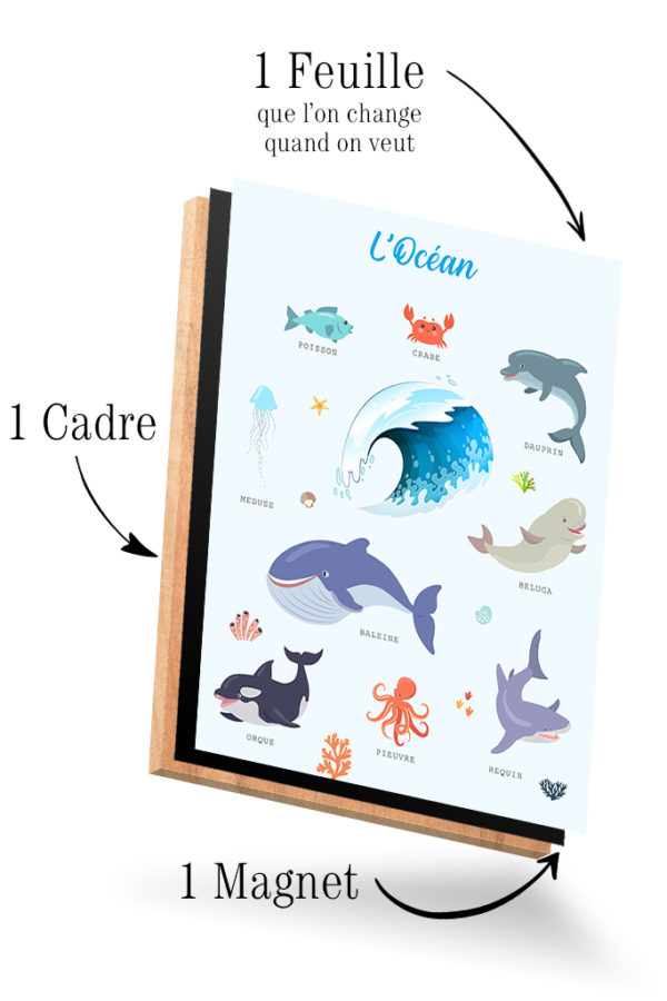Imagier L'Océan – Image 4