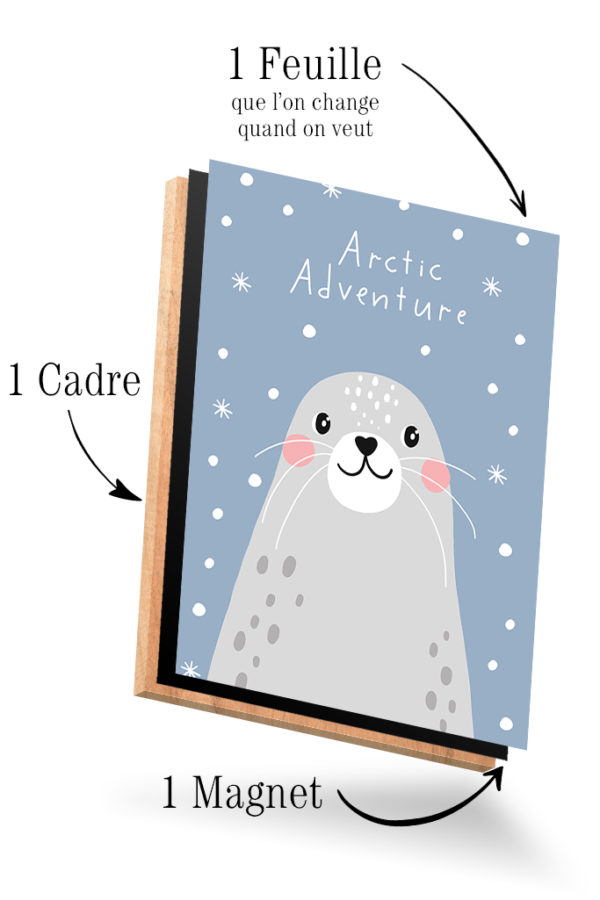 Winter World - Phoque – Image 4