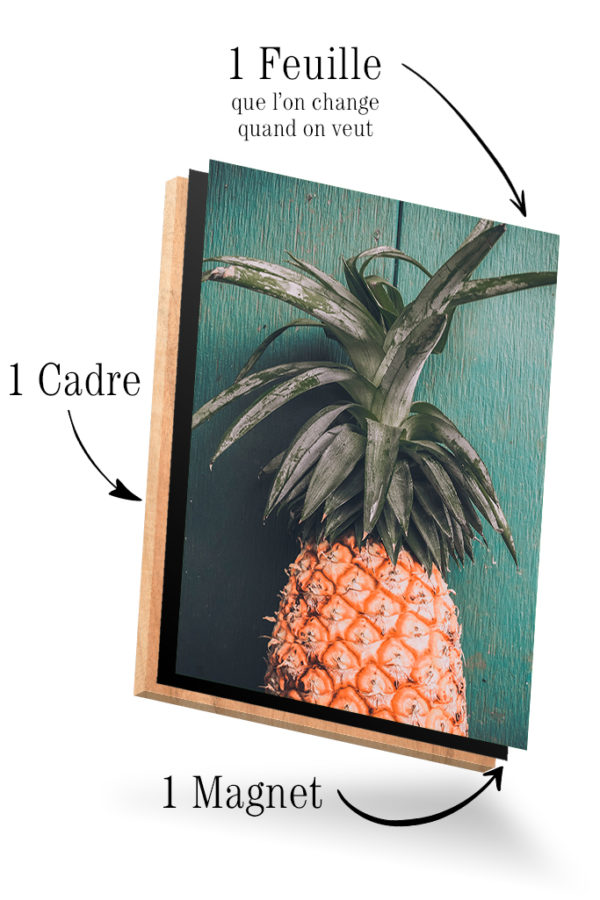 Ananas Vintage – Image 4