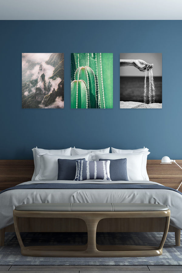 Cactus Vintage – Image 3