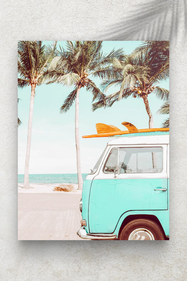 Californie Van Bleu