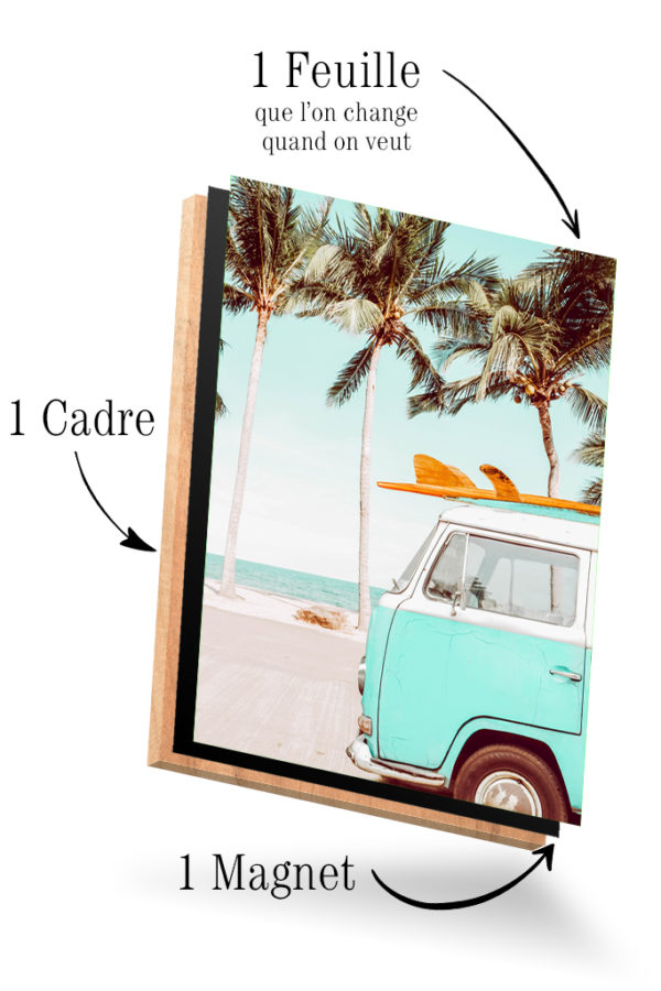 Californie Van Bleu – Image 4