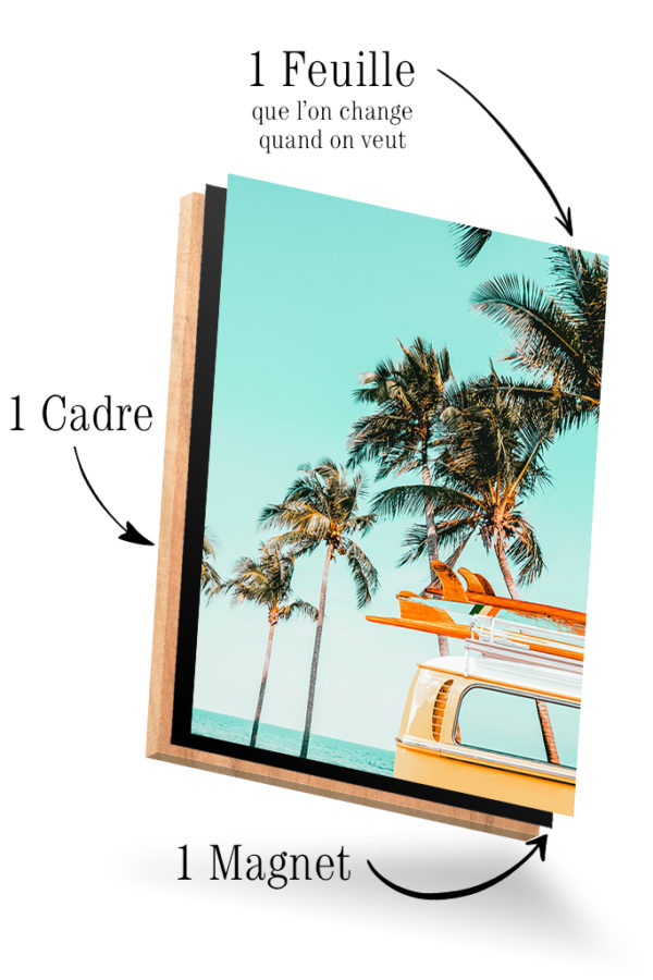 Californie Van Jaune – Image 4