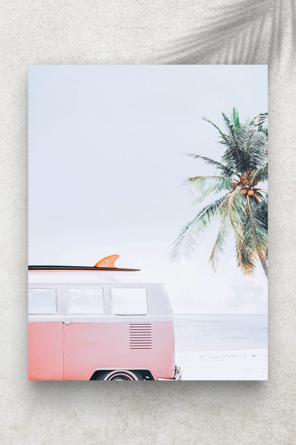 Californie Van Rose