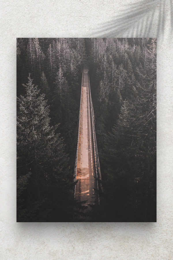Pont et Forêt