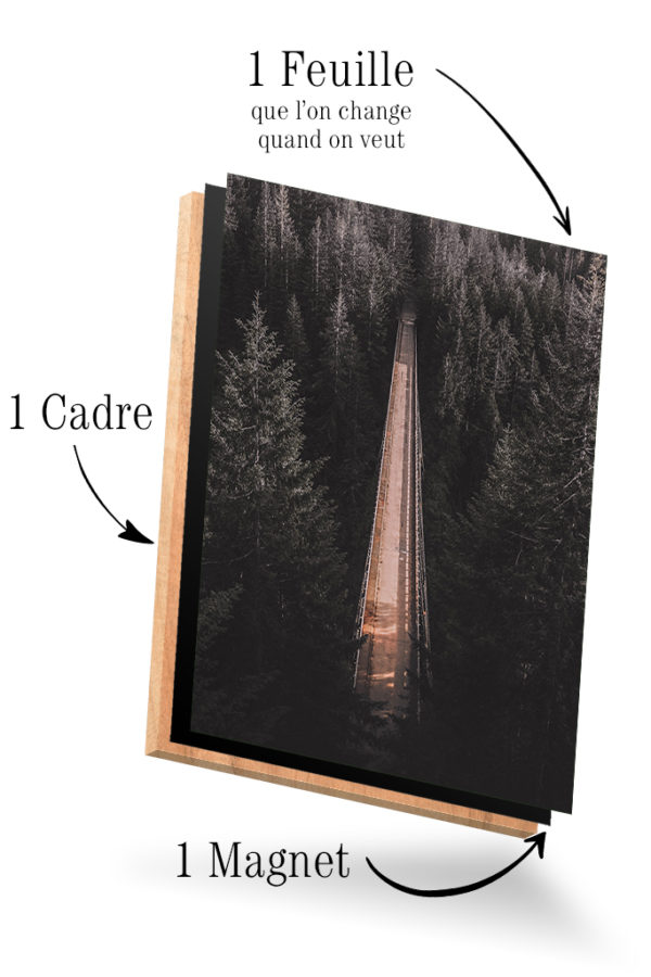 Pont et Forêt – Image 4