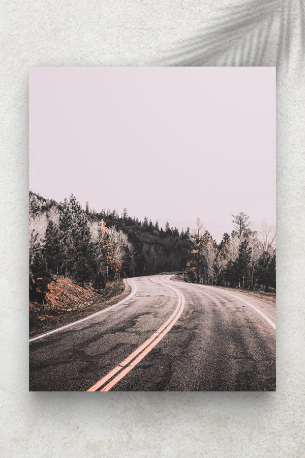 Route et Forêt