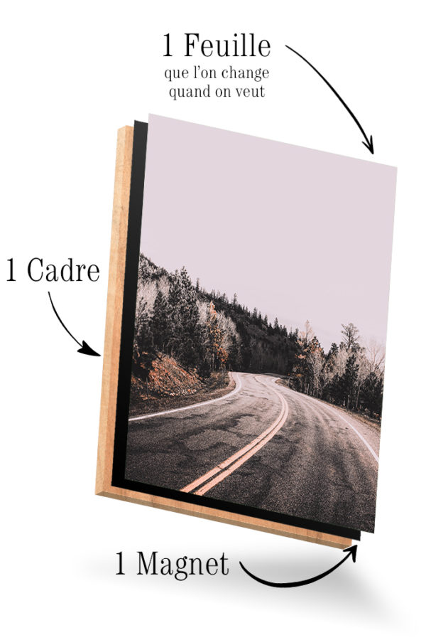 Route et Forêt – Image 4