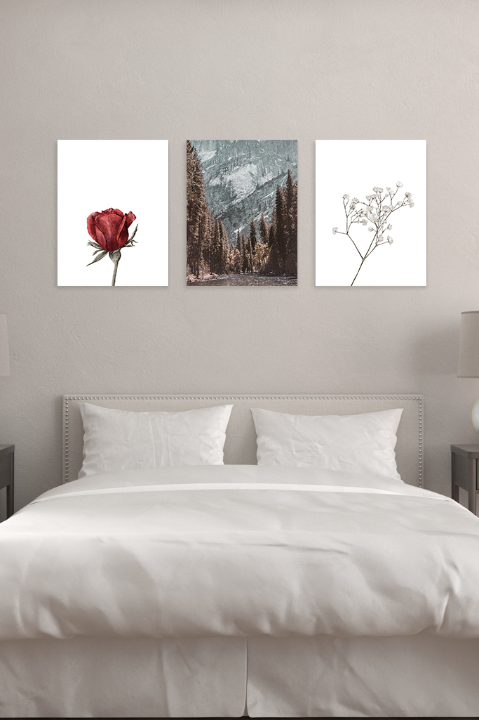 Falaise et ForĂȘt â Image 3