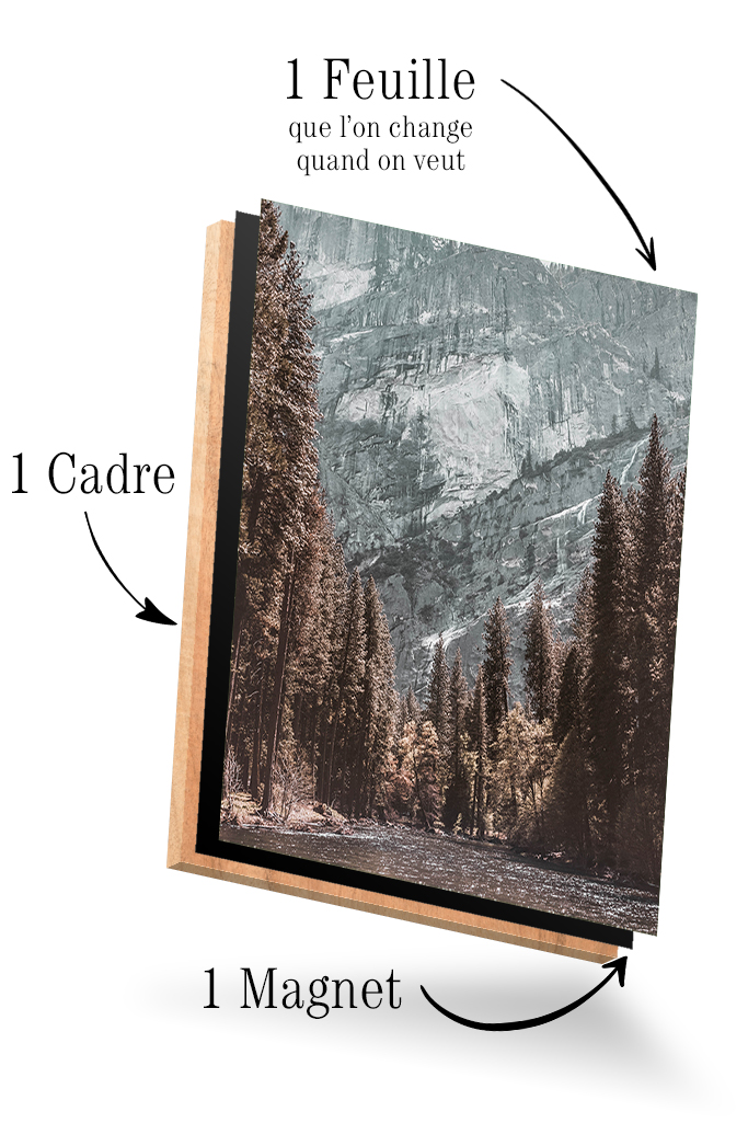 Falaise et ForĂȘt â Image 4