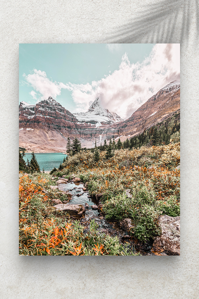 Montagnes, ForĂȘt et Lac