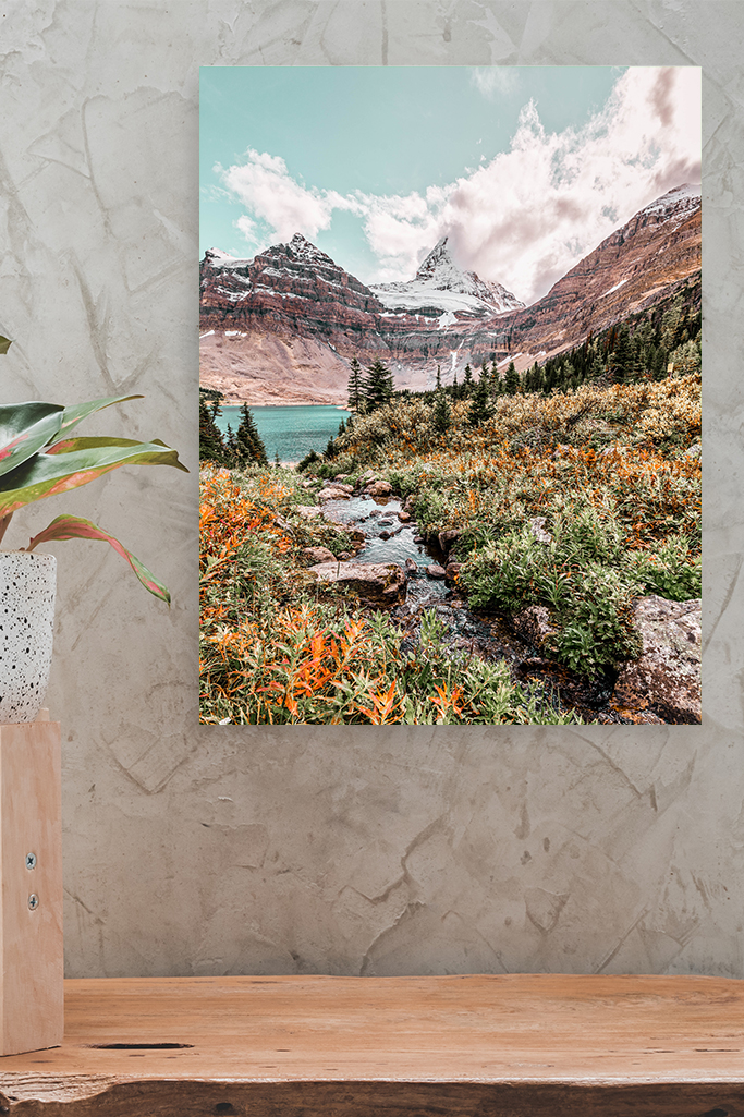 Montagnes, ForĂȘt et Lac â Image 2