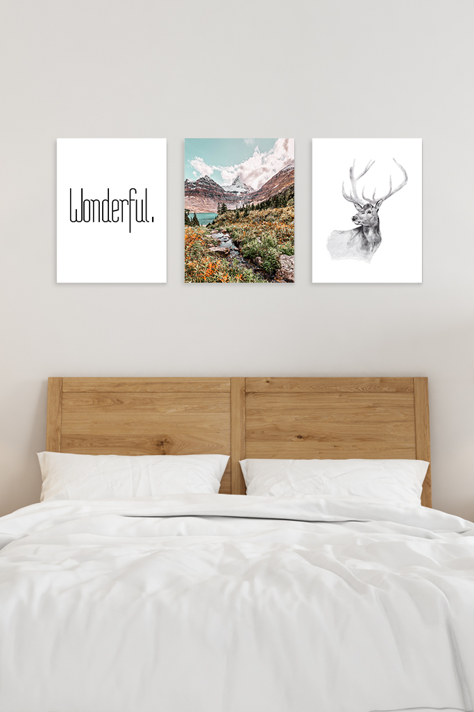 Montagnes, ForĂȘt et Lac â Image 3