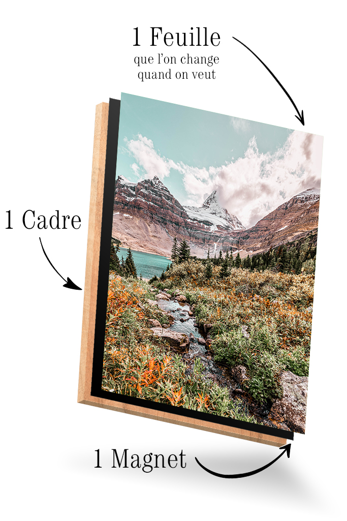 Montagnes, ForĂȘt et Lac â Image 4