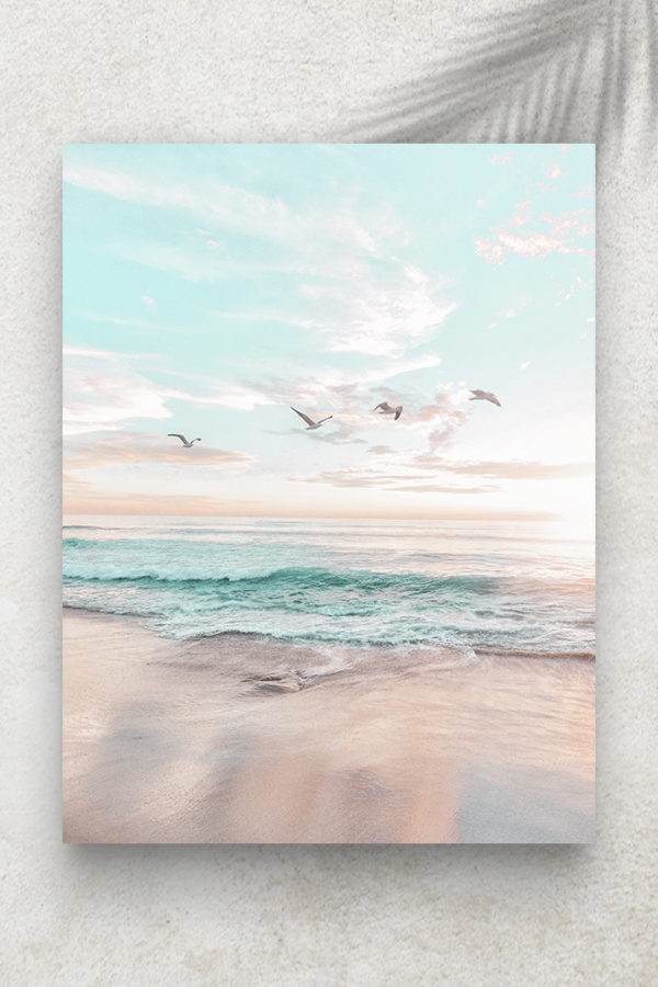 Oiseaux & Plage