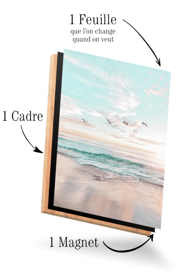 Oiseaux & Plage – Image 3