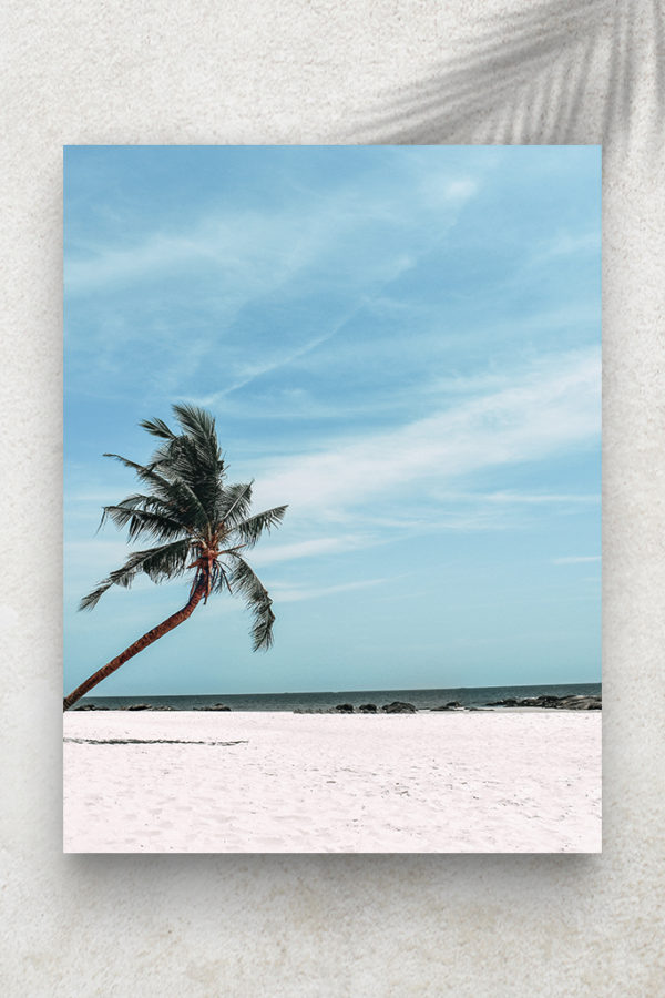 Poor Alone Palm