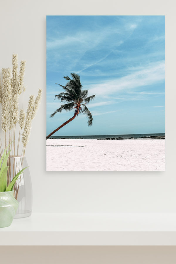 Poor Alone Palm – Image 2