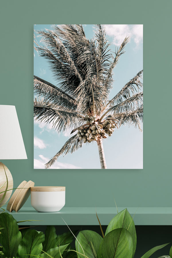 Palmier Vintage – Image 2